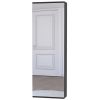 Wall Mounted Shoe Rack With Mirror Chimg, Single Door, Black Wengue Finish