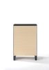 ACME Ireland Chest in Black 04166