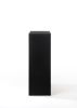 ACME Ireland Chest in Black 04166