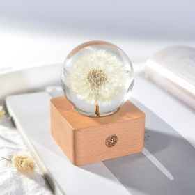 Birthday Gift Resin Craft Ornament (Option: Dandelion)