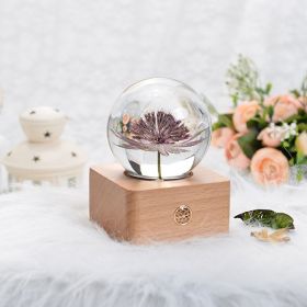 Birthday Gift Resin Craft Ornament (Option: Star Celery)