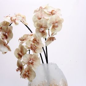 Factory Direct Sales Artificial Flower 3D Printing 8 Heads Phalaenopsis Wedding Flower Bouquet Decoration Moist Feeling Single Stem Fake Flower (Color: Champagne)