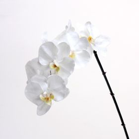 Factory Direct Sales Artificial Flower 3D Printing 8 Heads Phalaenopsis Wedding Flower Bouquet Decoration Moist Feeling Single Stem Fake Flower (Color: White)