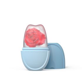 Face Application Ice Tray Beauty Supplies Mold (Option: Oval Blue)